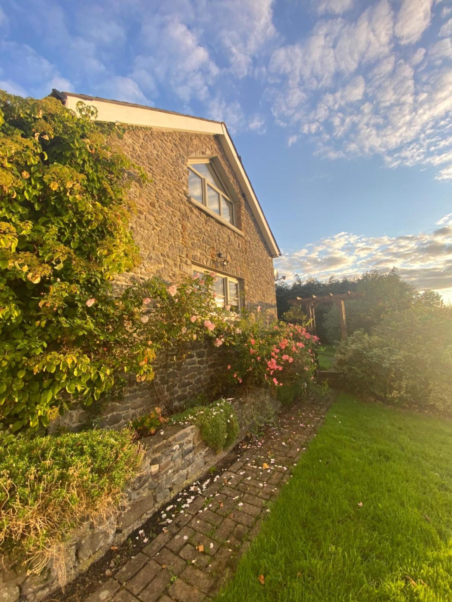 Pippin Lodge Llanwrda Eksteriør bilde
