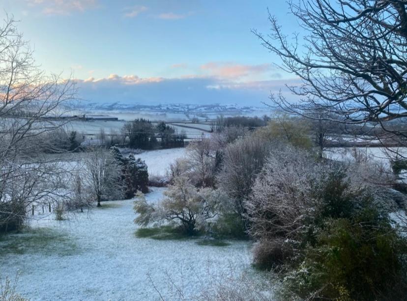 Pippin Lodge Llanwrda Eksteriør bilde
