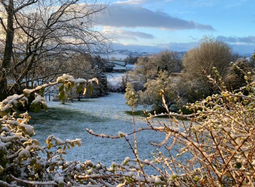 Pippin Lodge Llanwrda Eksteriør bilde