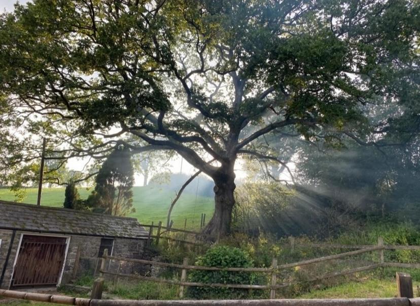 Pippin Lodge Llanwrda Eksteriør bilde