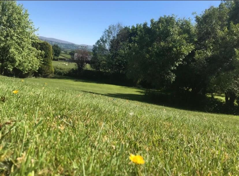 Pippin Lodge Llanwrda Eksteriør bilde